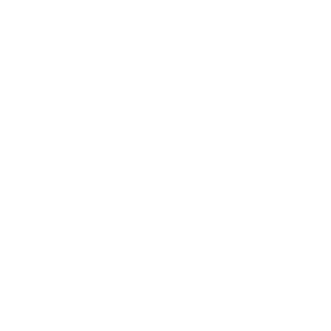 mad-diffusion-logo