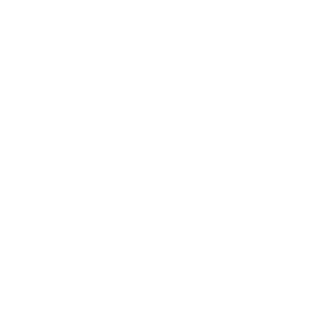 rhino-moto-logo